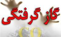 مرد ۴٧ ساله دومین قربانی گازمونوکسیدکربن در بخش ششده و قره بلاغ فسا